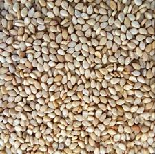 Mom Masala Seasame Seeds